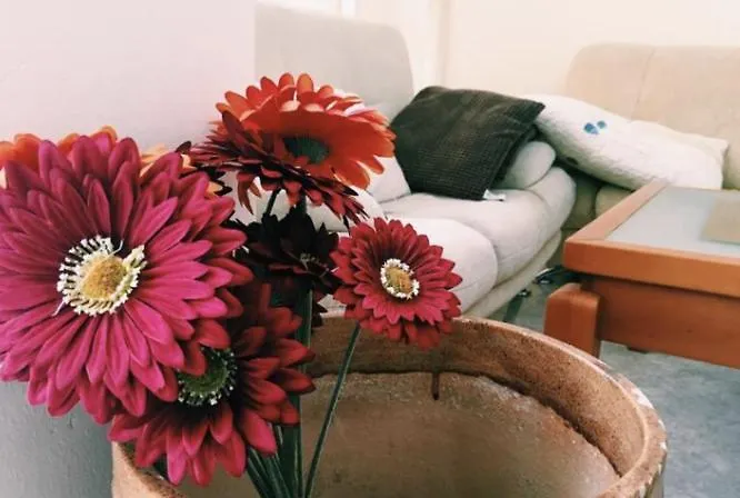 Spacious Modern Two-bedroon In Elit 1 Complex מלון דירות